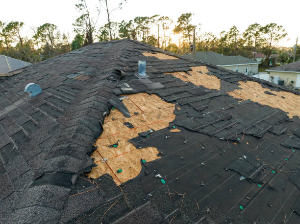 Skylights in Wilton Manors, FL